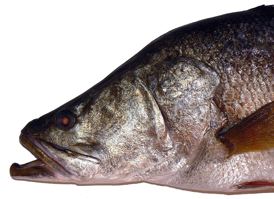Smoked Nile perch